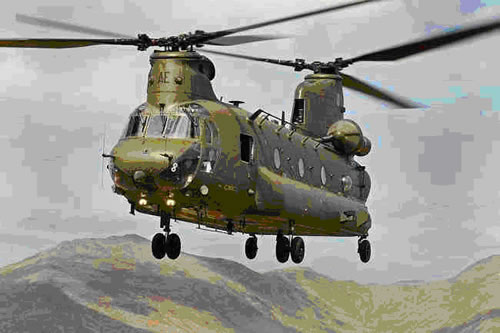 Chinook